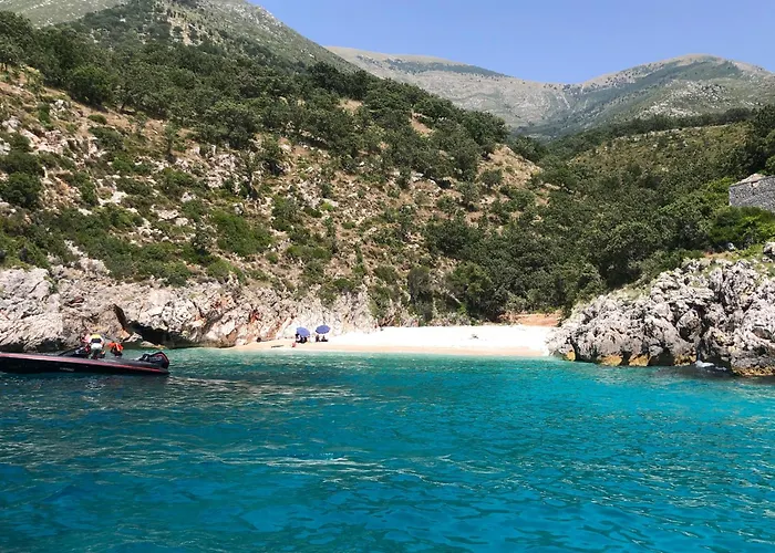 Gem 142, Coast * Palasë