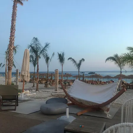 Gem 142, Coast Palasë