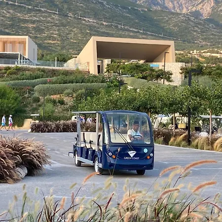 Gem 142, Coast Palasë